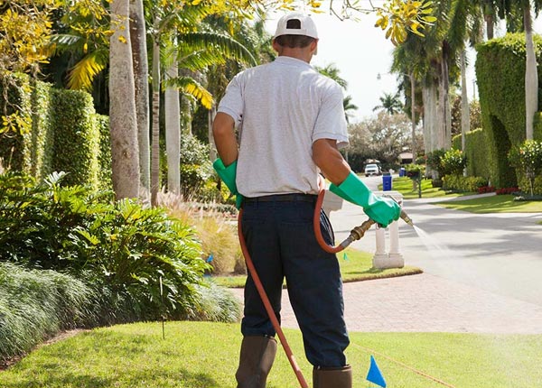 About Bucyrus MO Pest Control